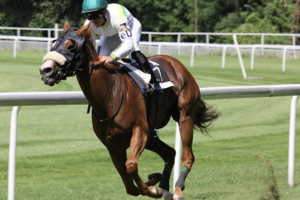 Showcasing Your Love for Racing: How to Create a Standout PFP Picture for Horse Racing Enthusiasts